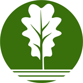 DanteSpinelliStudio
