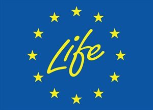 life_1