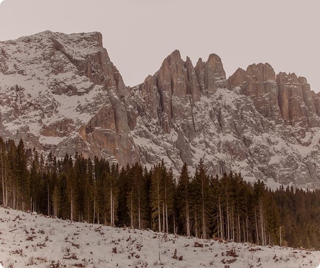 Tutelare l’ambiente in cui viviamo è un obiettivo primario.